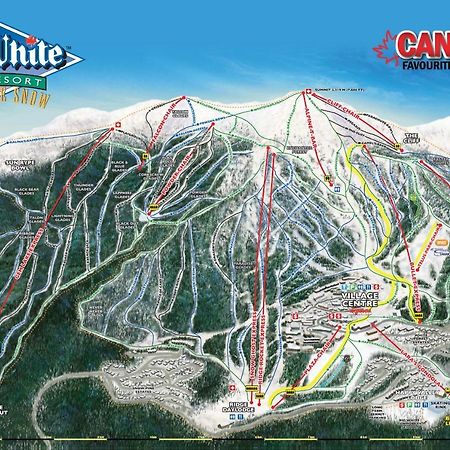 Chateau Big White Bagian luar foto