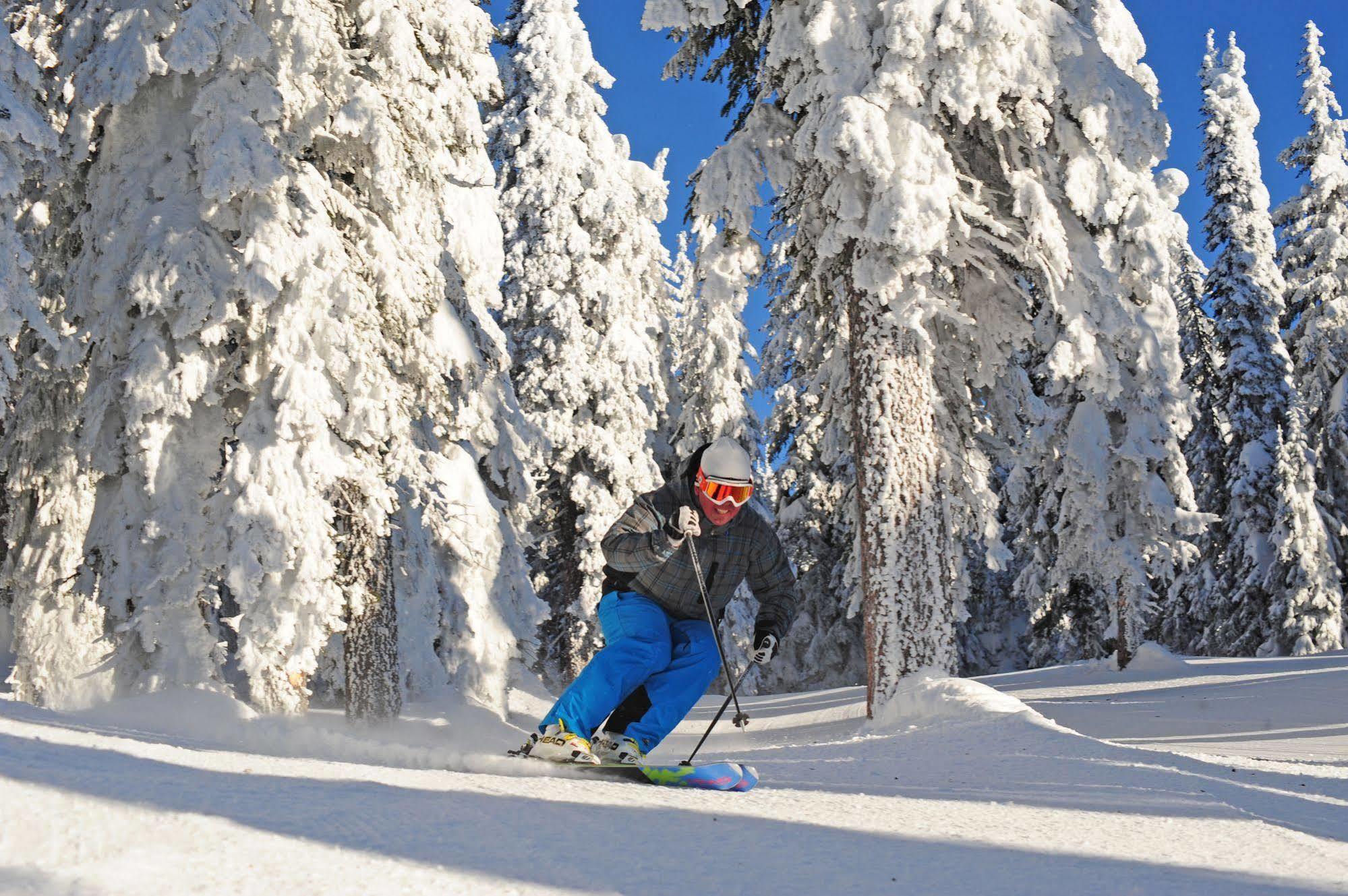 Chateau Big White Bagian luar foto