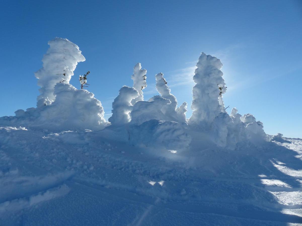 Chateau Big White Bagian luar foto