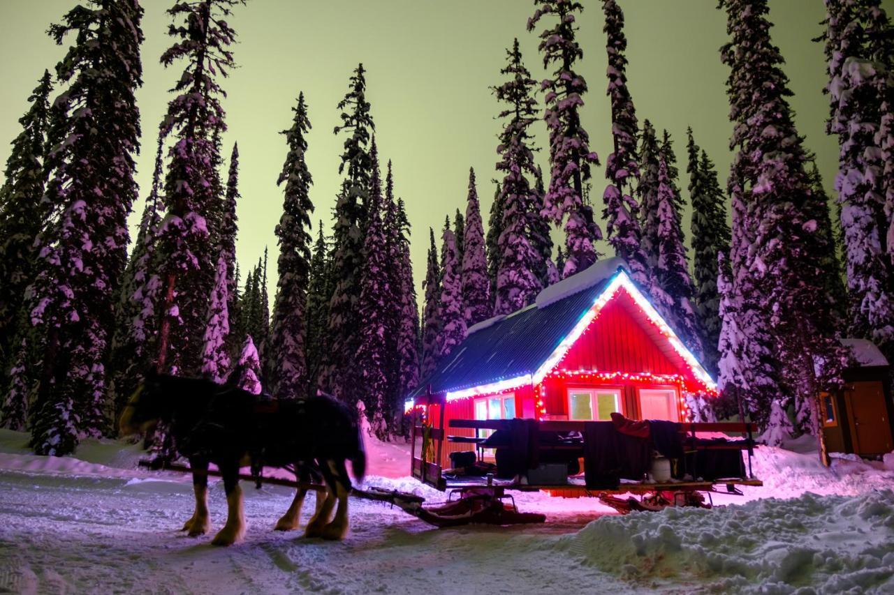 Chateau Big White Bagian luar foto